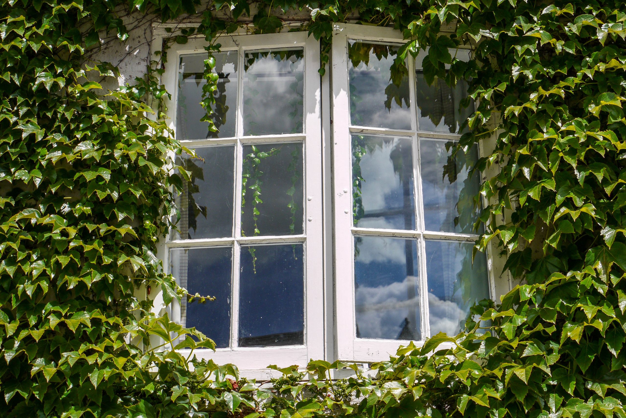 casement replacement windows odenton md
