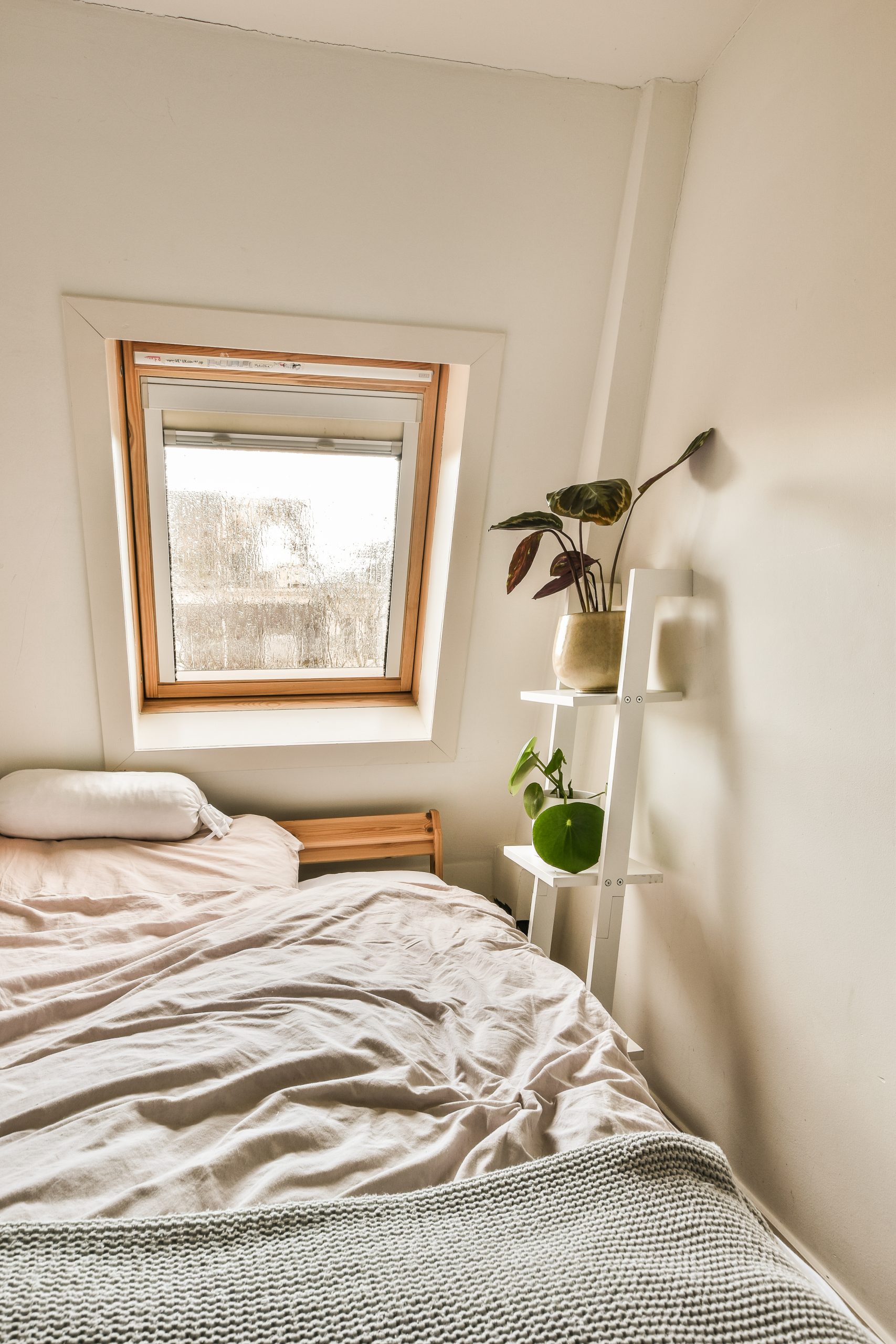 a bed in the corner of a room with a replacement windows odenton md above it and a plant on top of the bed